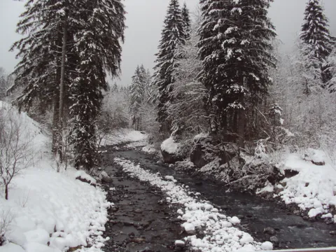 A snow-covered riverside near Sixt-Fer-à-Cheval